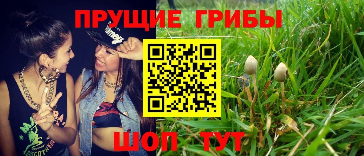 Псилоцибиновые грибы мухоморы  Галлюциногенные грибы мицелий  Вход с VPN  Усть-Джегута 