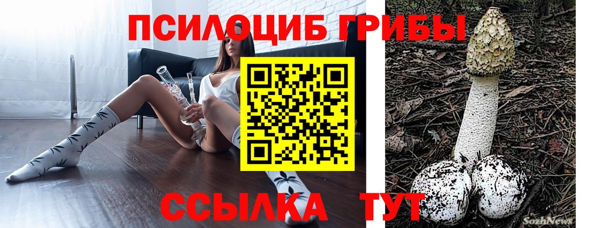 Галлюциногенные грибы прущие грибы Усть-Джегута